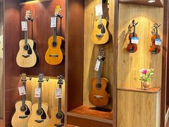 -知音艺术教育培训·钢琴培训·音乐培训(河西金鹰世界校区)