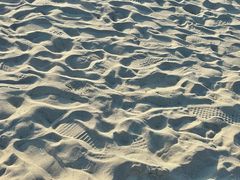 -西涌国际滨海旅游区