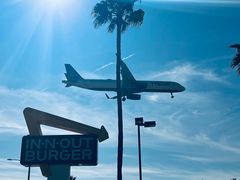 -In-N-Out Burger(LAX)