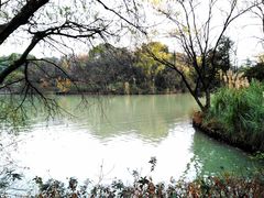 -西溪国家湿地公园