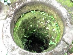 -恺庐茶园(宽窄巷子景区店)