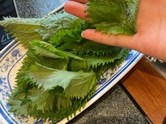 -揽月斋炙子烤肉·清真(安定门·五道营店)