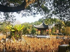 -丝绸小镇荻港古村