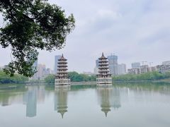 -宝岛公园