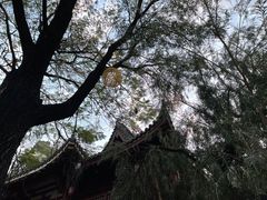 -河源客天下-温泉小镇