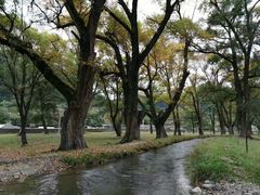 -四川郎木寺镇