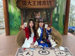 -沂蒙山旅游区云蒙景区(蒙山国家森林公园)