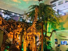 -甘肃地质博物馆