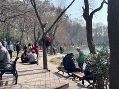 -紫霞湖公园