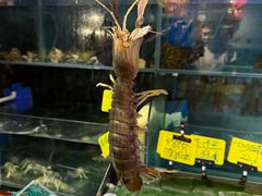 -辉记炭烧海鲜大排档·老字号(福田店)
