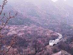 -居庸关长城
