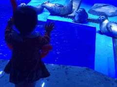-上海海昌海洋公园