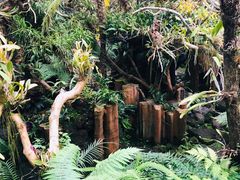 -南通洲际绿博园