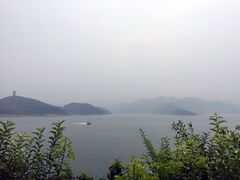 -望湖烤鱼