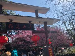 -南京市溧水区傅家边梅花山弄山庄