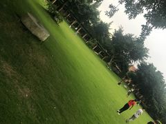 -林记兔头(特色店)