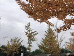 -雅安楠水阁温泉酒店