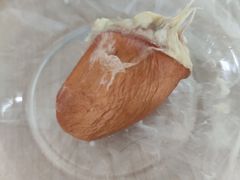 -鲜力达果品批发直销(青山店)