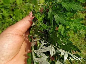天天在家，没有地方去，嘴巴就一直想吃这个那个的
