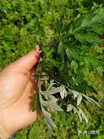 天天在家，没有地方去，嘴巴就一直想吃这个那个的