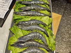 -杨记齐齐哈尔烤肉(总店)