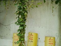-苏州桃花坞国际青年旅舍