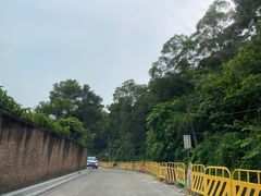 -长洲岛