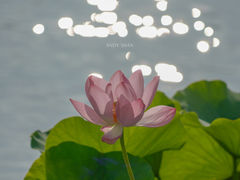 -什刹海