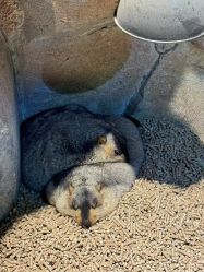 -酷嗒动物文化乐园(cutezoo西溪乐天城店)