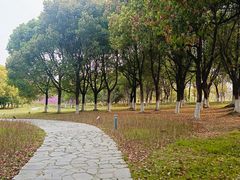 -白塘生态植物园