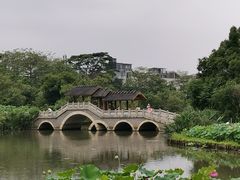 -金山公园