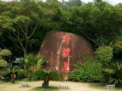 -野狸岛