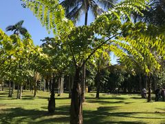 -中国科学院西双版纳热带植物园