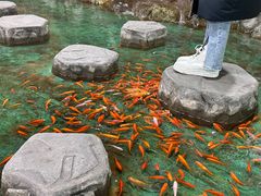 -上海大自然野生昆虫馆(东方明珠·爬宠昆虫探索中心)
