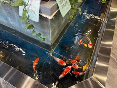 -洞庭家宴·头牌甲鱼(广渠门店)