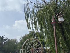 -茯茶镇