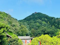 -泰山风景名胜区