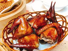 乳鸽-点都德(汇盈广场店)