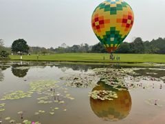 -中国科学院西双版纳热带植物园
