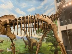 -辽宁古生物博物馆