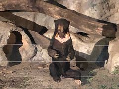 -清迈夜间动物园