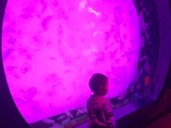 -沈阳海洋探索中心