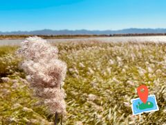 -野鸭湖国家湿地公园
