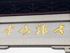 -鸡鸣赐茶(鸡鸣寺路店)