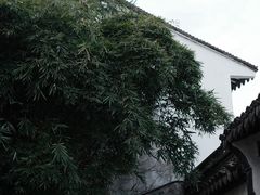 -黎里古镇