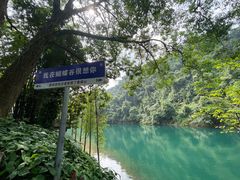 -鼎湖山风景区