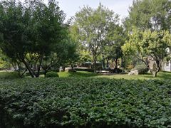 -北京西国贸大酒店