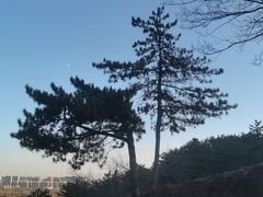 -乌素图国家森林公园