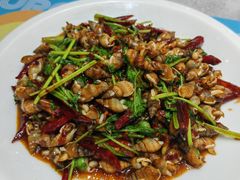 -小海丁