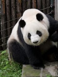-Zoolung Zoolung动物主题公园(海信广场店)